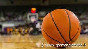 Crema unisce le forze: Pallacanestro e Basket Team insieme per il settore minibasket - SportGrigiorosso