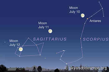 This Week's Sky at a Glance, July 8 – 16