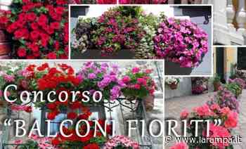 Aversa. Al via l'edizione 2022 di 'Balcone Fiorito' - La Rampa