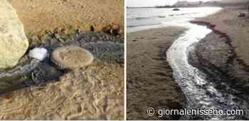 Mareamico Agrigento: In contrada Caos acque fognarie - Giornale Nisseno