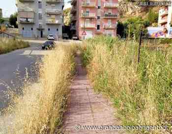 Agrigento, Gramaglia: “Degrado al Quadrivio Spinasanta” - Grandangolo Agrigento