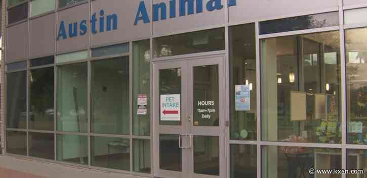 Austin Animal Center makes emergency call for fosters