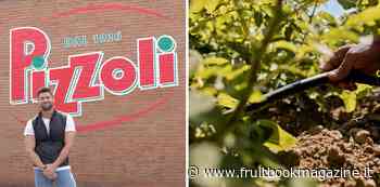 Risparmio idrico, Marco Orsi racconta la sostenibilità delle patate Pizzoli - Fruitbook Magazine