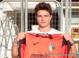 MERCATO. Il difensore Marco Dionigi torna al Santa Veneranda - marcheingol.it