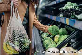 Taking part in plastic-free July? There's an app for that - Squamish Chief