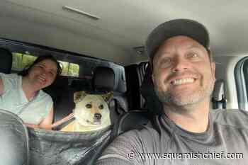 Einstein the wandering pooch leads Squamish pursuers on 45 day chase - Squamish Chief