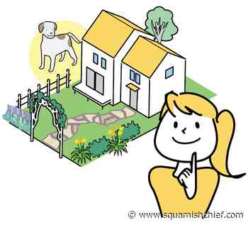 Can Squamish go back to mostly single-family homes? - Squamish Chief