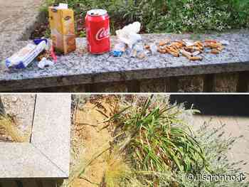 Saronno: segatura, rifiuti, feci e urina nell'aiuola. Mascarello: “Adesso denunceremo” - ilSaronno