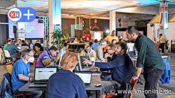 Kiel: Anträge für Hundesteuer oder Kita-Erstattungen bald online möglich - Kieler Nachrichten