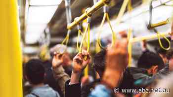 Victoria Police launches service for reporting harassment on public transport - ABC News