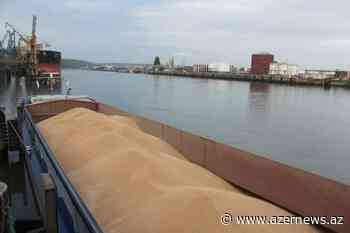 Poland as an alternative Ukrainian grain transport route - AzerNews.Az