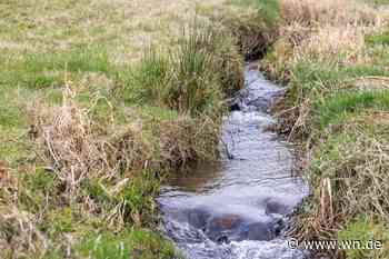 Wasserentnahme aus Bächen und Teichen vermeiden