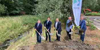MZ+ Artenvielfalt und Hochwasserschutz - ein Marler Bach verwandelt sich - Marler Zeitung