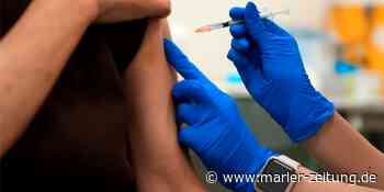 Coronawelle rollt weiter durch Marl - Zahlen bleiben immer noch hoch - Marler Zeitung