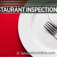Utensils stored under fly traps: Dauphin County restaurant inspections July 8 - LNP | LancasterOnline