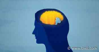 The Ways Loneliness Could Be Changing Your Brain and Body     - CNET