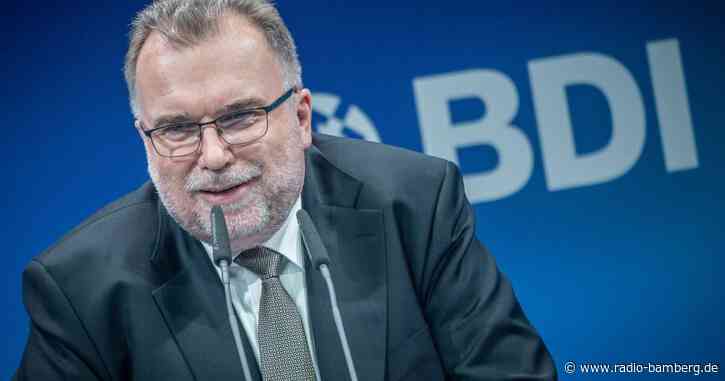 BDI-Chef zu Gas: Auf Schlimmstes vorbereiten, Bestes hoffen
