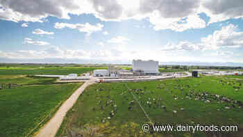 The tale of two cold-storage warehouses: automating Aurora Organic Dairy