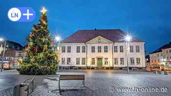 Ratzeburg sucht jetzt schon nach einem Weihnachtsbaum - Lübecker Nachrichten