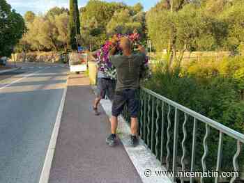 Sécheresse: "si on ne peut plus arroser, on perd tout"... La détresse des habitants après l'arrêté préfectoral anti-arrosage