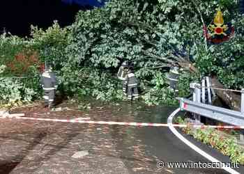 Maltempo a Massa Carrara, crollano mura di un castello in Lunigiana - InToscana