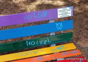 "No Lgbt". Deturpata la panchina arcobaleno a Samarate - varesenews.it