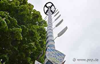 Ohne Baum in den Mai? - Passauer Neue Presse - PNP.de