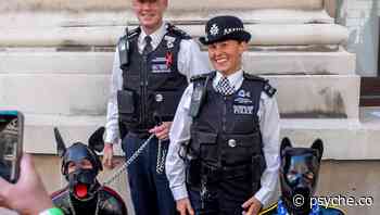 Why We Need To Cultivate Toleration