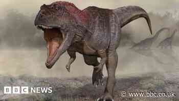 Dinosaur finding hints at why T-rex had small arms