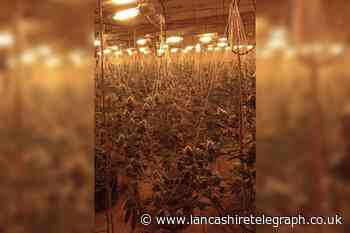 Cannabis farm of 1,000 plants found in Shawforth factory