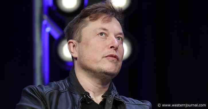 Twitter Sale 'In Serious Jeopardy' After Elon Musk's Team Comes to Troubling Conclusion About Company's Data: Report