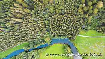 Tourismus im Nordschwarzwald: Skiba: "Wir haben viele neue Fans gefunden"