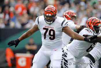 Bengals Roster: Realistic expectations for Jackson Carman in 2022 - Stripe Hype