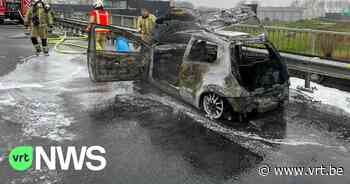 Auto brandt volledig uit op E40 in Veurne, inzittenden en hun honden naar ziekenhuis - Vlaamse Radio- en Televisieomroeporganisatie