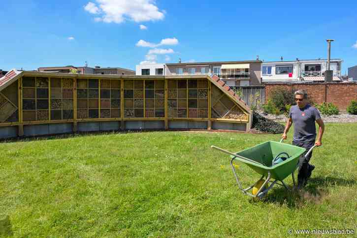 Grootste insectenhotel van het land staat in Deurne: “Enorm belangrijk voor de biodiversiteit”