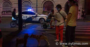 Chinese Police Database Was Unsecured Long Before It Was Seized - The New York Times