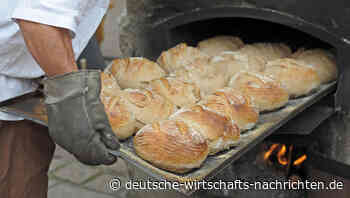 In den Fängen der Energie-Unsicherheit: Handel und Ernährungsindustrie in Sorge