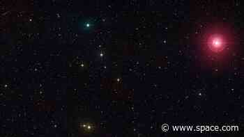 See the 'Wonderful Star' Mira at its peak brightness this week