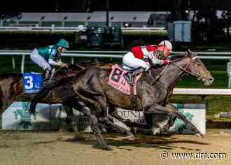 Call Me Midnight moves to turf sprint in Dade Park Dash - Daily Racing Form