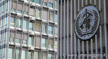 Vaiolo delle scimmie, casi in aumento del 77 per cento e 3 morti: Ema valuta estensione vaccino Imvanex - ilmessaggero.it