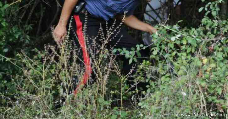 Cadavere senza testa, fermato dai carabinieri uno dei fratelli di Franco Severi