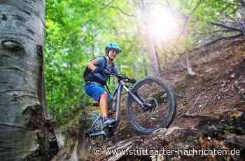 Mountainbiken im Wald: Neuer Trail im Gronauer Forst in Sicht - Stuttgarter Nachrichten