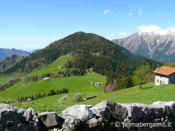 Fauna e flora dei prato-pascoli orobici: un corso per studenti e appassionati al Rifugio Gherardi - Prima Bergamo