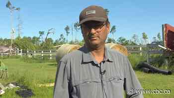 Alberta communities clean up after 'nightmare' extreme weather damages homes, topples trees