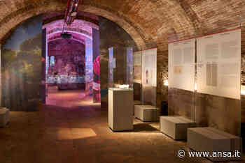 Leonardo e il vino, spazio espositivo lo racconta a Vinci - ViaggiArt - Agenzia ANSA