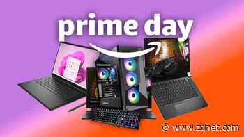 Amazon offers a 0% interest Buy Now, Pay Later deal for Prime Day shoppers through its partnership with Affirm
