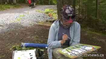 Artist in Residence program returns to Fredericton - CTV News Atlantic
