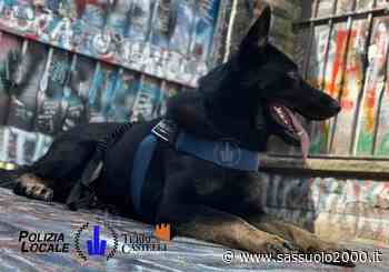 Vignola: controlli antidroga della polizia locale - sassuolo2000.it - SASSUOLO NOTIZIE - SASSUOLO 2000