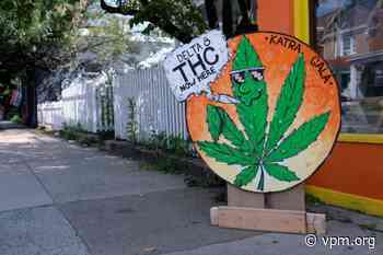 Hemp industry pushes back on Virginia's delta-8 crackdown - VPM News