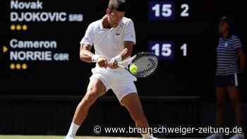 Djokovic zum achten Mal im Wimbledon-Finale